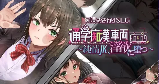 安卓+电脑【日系RPG/触摸动态】通学痴汉车厢纯情女高中生 作弊 骑-大壮社区